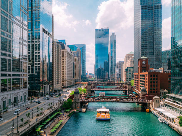 LMS Development in Chicago