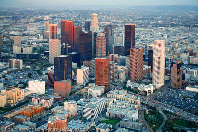LMS Development in Los Angeles