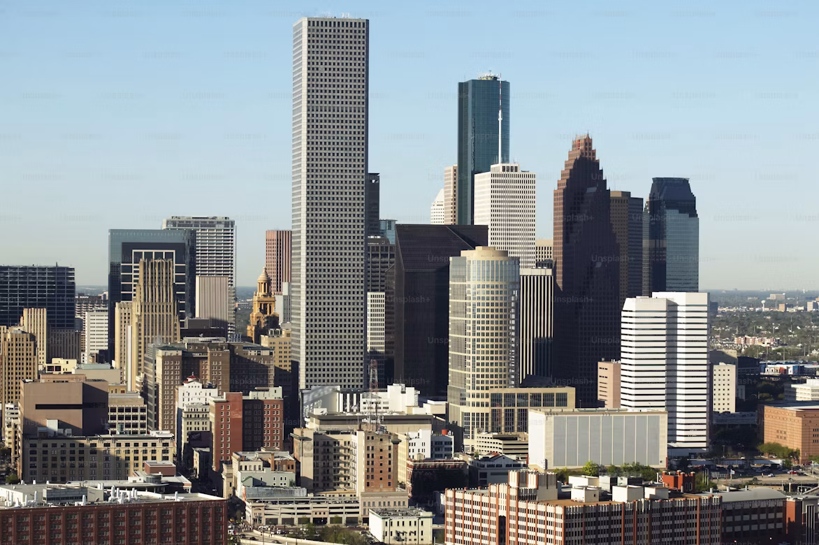LMS Development in Houston